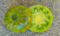 Изумрудное яблоко — томат для гурманов. Описание сорта и рекомендации по выращиванию