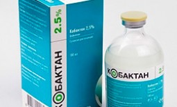 Ветеринарный антибиотик Кобактан: инструкция по применению, дозировка и противопоказания