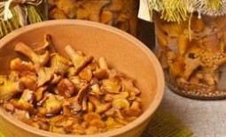 Лисички на зиму. Уникальные рецепты приготовления (маринованные, соленые, жареные) для гурманов