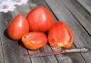 Сорт томата Бычье сердце