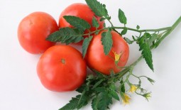 Вкус юга: техника выращивания Краснодарского розового томата, полное описание и рекомендации