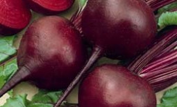 Любимый корнеплод цвета бордо, или особенность свеклы сорта Детройт