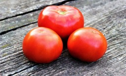 Томат Красный петух: агротехника, описание, отзывы