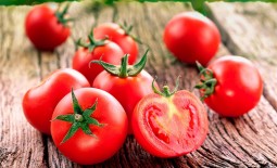 Описание, особенности и агротехника томата Красная россыпь