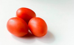Дачный Салют: как вырастить сливовидный томат, подробное описание и рекомендации садоводов
