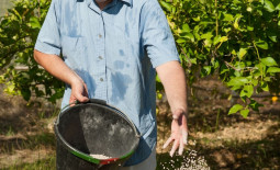 6 ошибок при внесении удобрений, которые совершают большинство садоводов