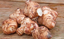 Топинамбур или земляная груша: особенности выращивания клубненосной культуры