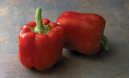 Сладкий перец Красный бык F1: характеристики, особенности агротехники, отзывы садоводов