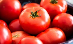 Описание высокоурожайного томата сорта Бизнес Леди