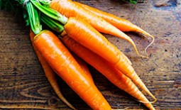 Что делать если не всходит морковь и как часто поливать ее после посадки?