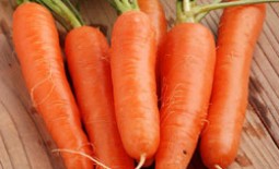 Морковь Нантская, или масса отменных характеристик в одном корнеплоде