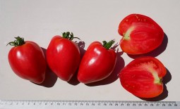 Томат крупноплодный Немецкая красная клубника: урожайность, описание, отзывы