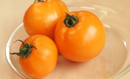 Сорт Оранж – вкусный томат с яркими плодами. Описание, характеристики, отзывы