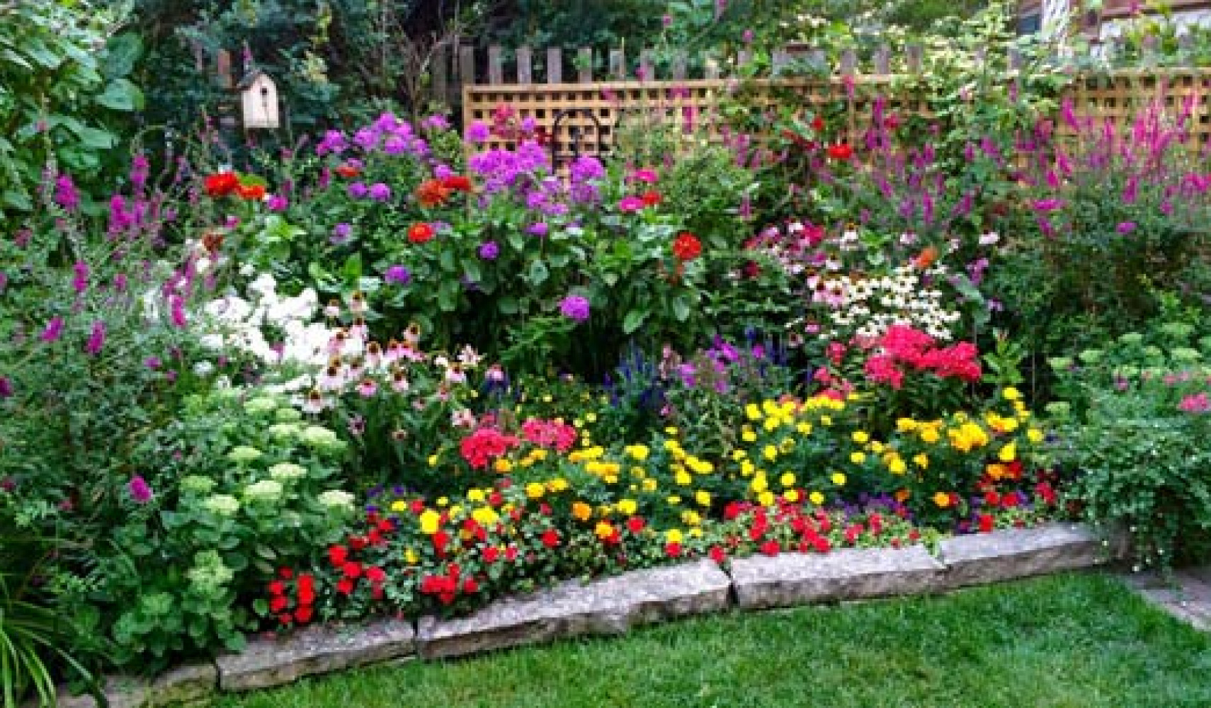 Клумба из многолетников для начинающих: цветы с названиями и фото для ...