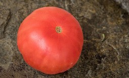 Бифселлер – полное описание и отзывы. Секреты выращивания «мясного» томата