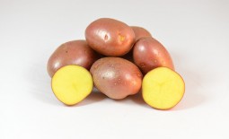 Ультраранний картофель Ред Соня. Характеристика, агротехника и отзывы
