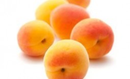 В чем разница между жерделой и абрикосом
