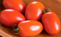 Рио спринт F1: высокоурожайный томат с хорошим вкусом. Описание и советы по уходу