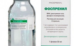 Ветеринарный препарат Фоспренил: инструкция и особенности применения