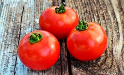 Ультраранний томат салатного назначения — Капитан F1. Знакомимся с описанием