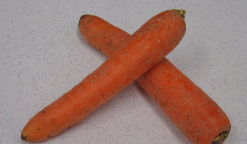 Сорт моркови Сентябрина