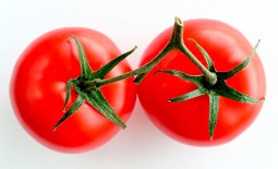 Сахар Красный — сладкий томат для теплицы и сада. Описание и отзывы о сорте
