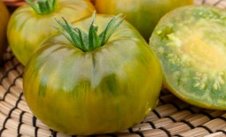 Необычный томат Сахар зеленый: подробное описание, способ выращивания, отзывы