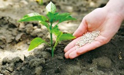 Как подготовить почву к весенней подкормке растений