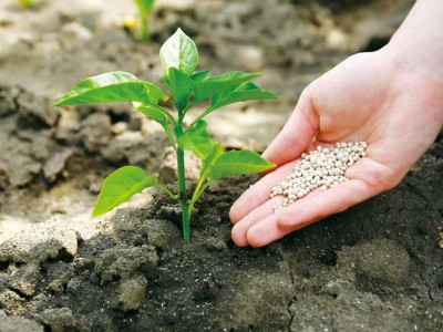 Как подготовить почву к весенней подкормке растений