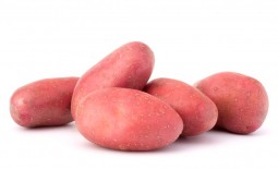 Характеристика сорта картофеля Ред Леди
