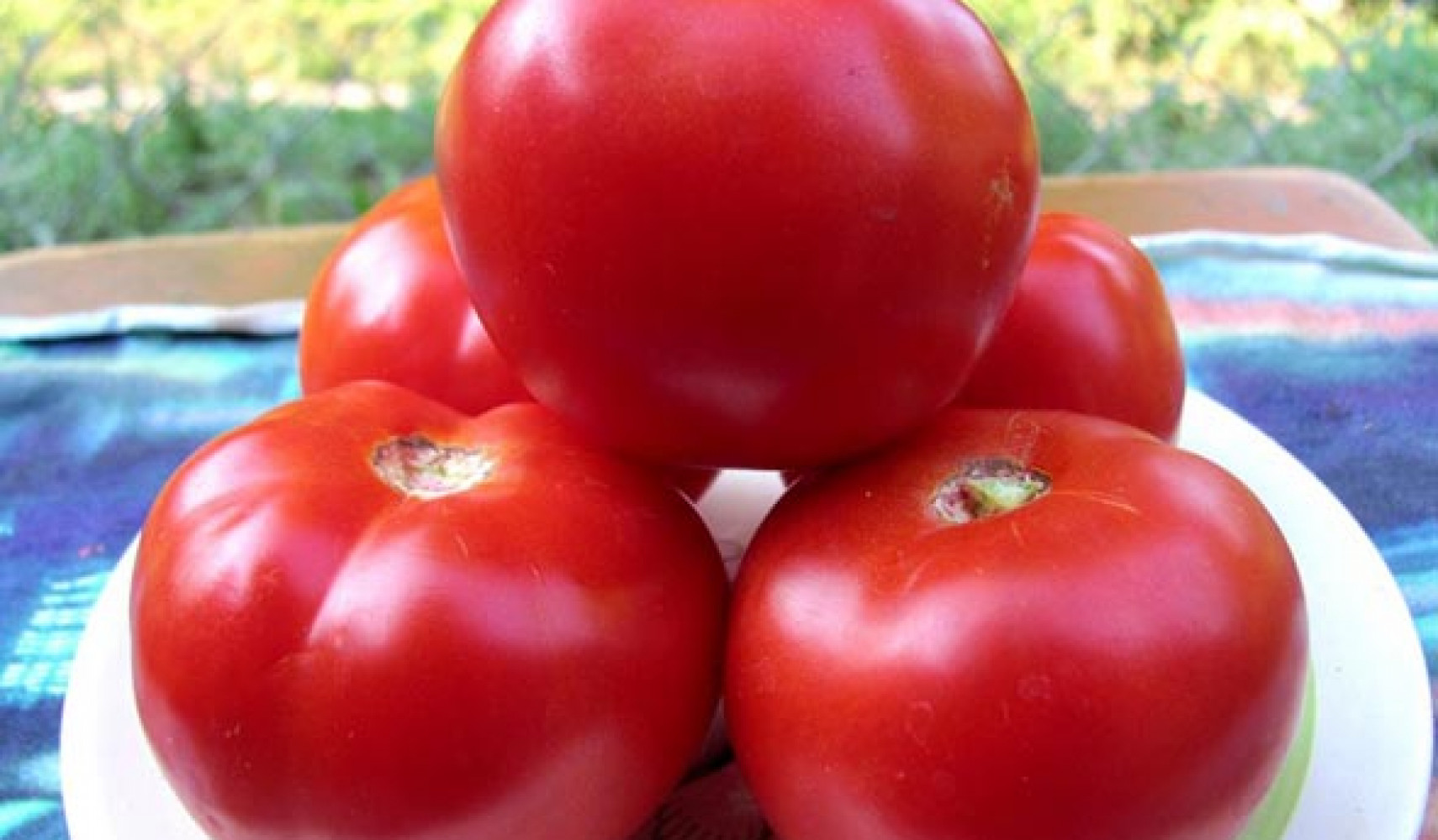 томат красным красно f1: отзывы, посадка и уход, характеристика и ...