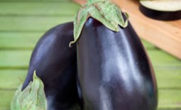 Баклажаны сорта Черный красавец: описание, особенности выращивания и отзывы