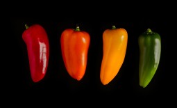 Перец ВАУ F1 – разноцветные плоды в одном пакете