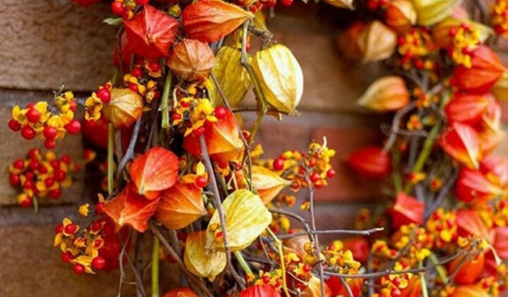 rostoucí physalis