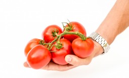 Великосветский F1 – гибрид томата, способный удивлять. Описание особенностей и техника выращивания