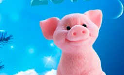 Свинья на пороге года. Как встречать и праздновать 2019, чтобы привлечь удачу и позитивные перемены