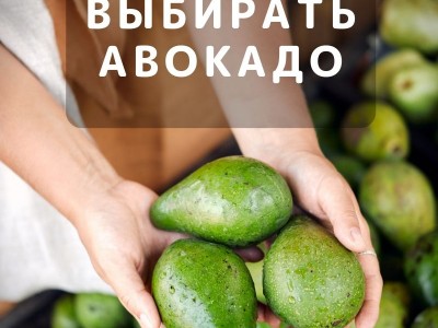 Выбираем авокадо: как определить его спелость и дать дозреть в домашних условиях