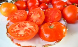 Каменный цветок: полное описание и рекомендации по выращиванию томата