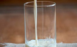 Овечье молоко — состав и польза, где используется
