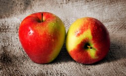 Яблоки: состав, польза, возможный вред
