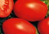 Сорт томатов Рио-Гранде
