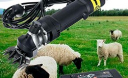 Важные параметры и тонкости выбора машинки для стрижки овец
