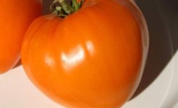 Золотое сердце — оригинальный томат с прекрасным вкусом. Описание сорта и отзывы дачников