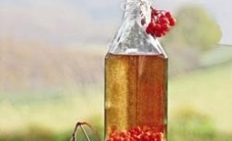 Приготовление вкусных заготовок из рябины красной на зиму: варенье, компот, сок и вино