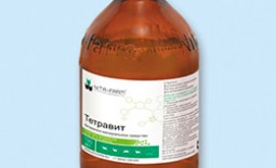 Витаминный комплекс Тетравит: инструкция, дозировка, рекомендации ветеринаров