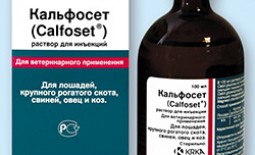 Кальфосет – эффективное лекарство для домашних животных