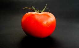 Крупноплодный томат Богатырь: подробное описание сорта, агротехника, отзывы