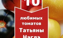 10 любимых томатов от коллекционера Татьяны Наглэ