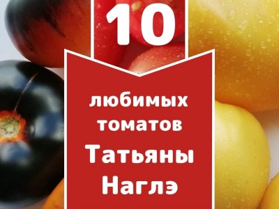 10 любимых томатов от коллекционера Татьяны Наглэ