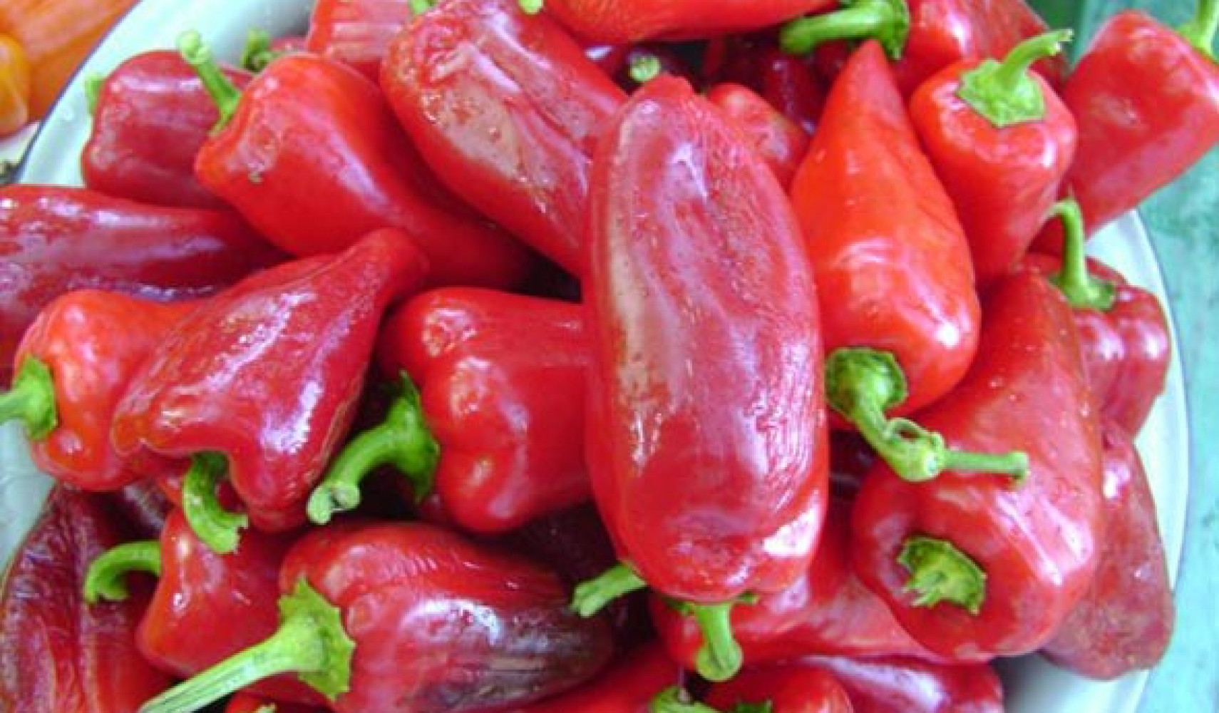 перец виктория: описание сорта, фото куста, урожайность сорта